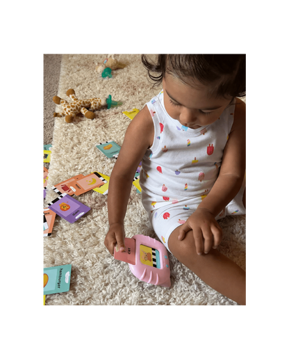 Talking Flash Cards